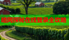 暗网探秘在线登录全攻略