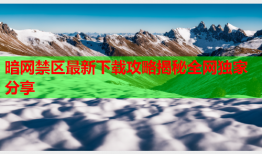 暗网禁区最新下载攻略揭秘全网独家分享