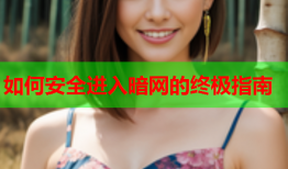 如何安全进入暗网的终极指南