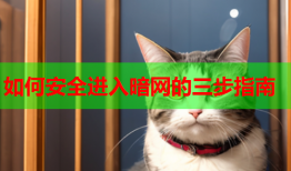 如何安全进入暗网的三步指南