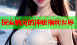 探索暗网的神秘福利世界