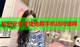 如何安全便捷地用手机访问暗网