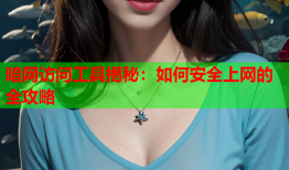 暗网访问工具揭秘：如何安全上网的全攻略