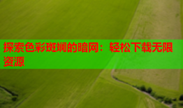 探索色彩斑斓的暗网：轻松下载无限资源