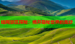 暗网禁区探秘：揭开隐秘世界的面纱