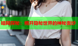 暗网探秘：揭开隐秘世界的神秘面纱