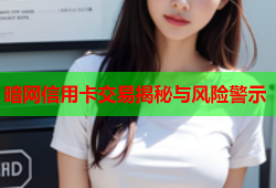 暗网信用卡交易揭秘与风险警示
