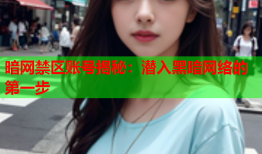 暗网禁区账号揭秘：潜入黑暗网络的第一步