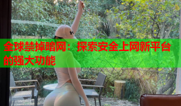 全球禁掉暗网：探索安全上网新平台的强大功能