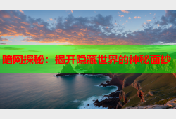 暗网探秘：揭开隐藏世界的神秘面纱