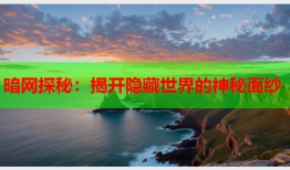 暗网探秘：揭开隐藏世界的神秘面纱