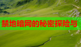 禁地暗网的秘密探险与