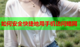 如何安全快捷地用手机访问暗网