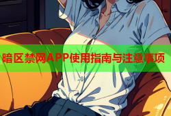 暗区禁网APP使用指南与注意事项