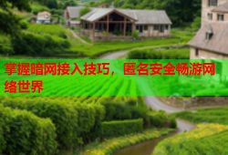 掌握暗网接入技巧，匿名安全畅游网络世界