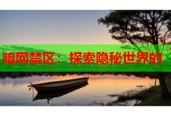 暗网禁区：探索隐秘世界的