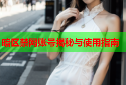 暗区禁网账号揭秘与使用指南