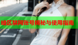 暗区禁网账号揭秘与使用指南