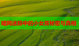 暗网迷踪中的小女孩秘密与真相