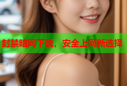 封禁暗网下载，安全上网新选择