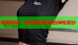 暗网探秘：揭开隐秘网络的神秘面纱