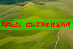 黑网迷踪：虚拟深渊的秘密游戏