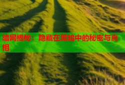 暗网揭秘：隐藏在黑暗中的秘密与真相