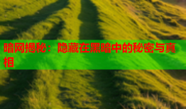 暗网揭秘：隐藏在黑暗中的秘密与真相