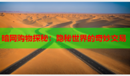 暗网购物探秘：隐秘世界的奇妙交易