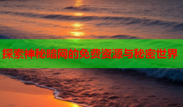 探索神秘暗网的免费资源与秘密世界