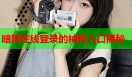 暗网在线登录的神秘入口揭秘