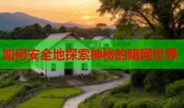 如何安全地探索神秘的暗网世界