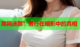 黑网迷踪：潜行在暗影中的真相