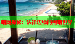 暗网探秘：法律边缘的黑暗世界