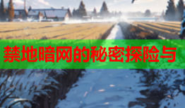 禁地暗网的秘密探险与