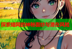 探索暗网的神秘面纱与潜在风险