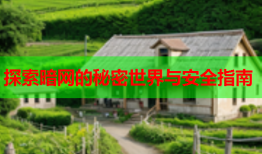 探索暗网的秘密世界与安全指南