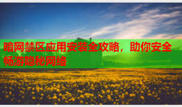 暗网禁区应用安装全攻略，助你安全畅游隐秘网络