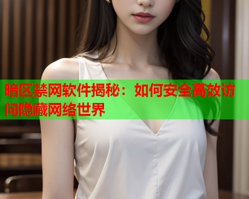 暗区禁网软件揭秘：如何安全高效访问隐藏网络世界
