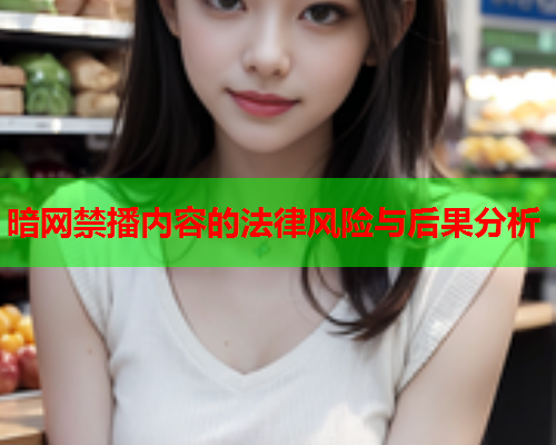 暗网禁播内容的法律风险与后果分析