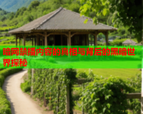 暗网禁播内容的真相与背后的黑暗世界探秘
