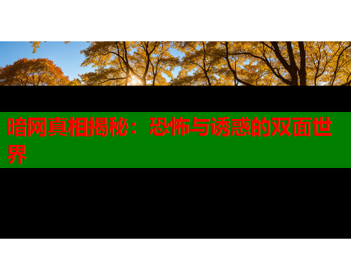 暗网真相揭秘：恐怖与诱惑的双面世界