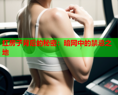 红房子背后的秘密：暗网中的禁忌之地