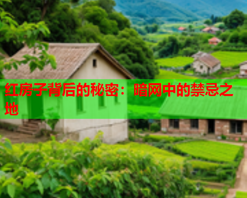 红房子背后的秘密：暗网中的禁忌之地