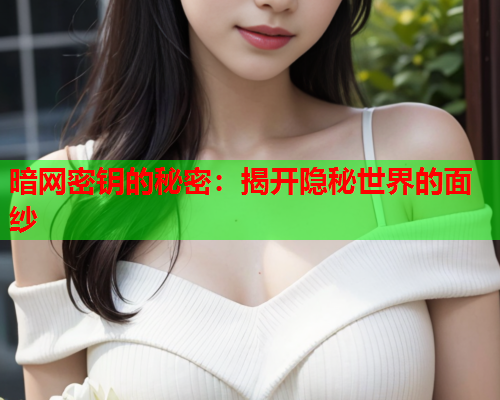 暗网密钥的秘密：揭开隐秘世界的面纱