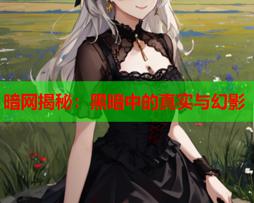暗网揭秘：黑暗中的真实与幻影