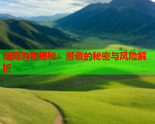 暗网购物揭秘：潜藏的秘密与风险解析