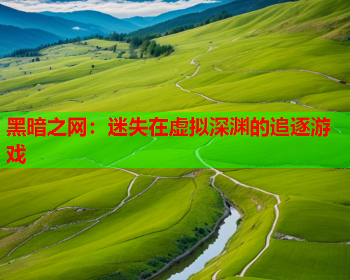 黑暗之网：迷失在虚拟深渊的追逐游戏