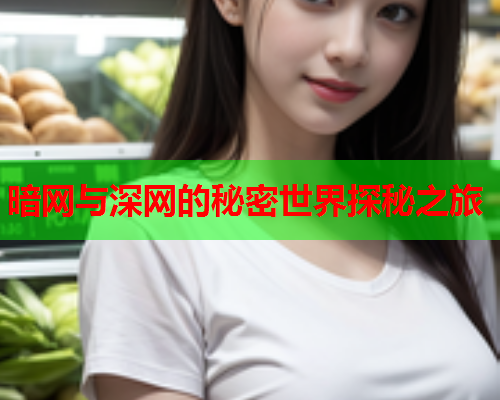 暗网与深网的秘密世界探秘之旅