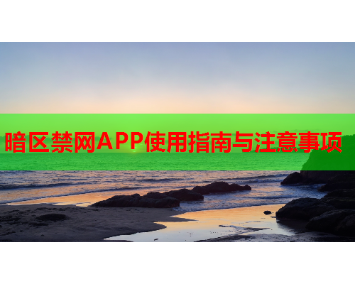 暗区禁网APP使用指南与注意事项